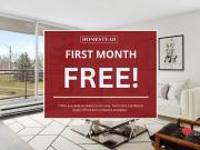 2 Bedroom Apartment London ON 81877295