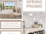 2 Bedroom Apartment London ON 96338211