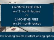 1 Bedroom Apartment Ottawa ON 62924968