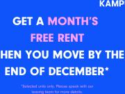 2 bedroom apartment to rent