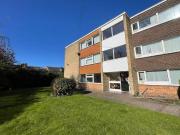 2 bedroom apartment to rent