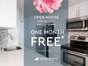 2 Bedroom Apartment Toronto ON 90116705