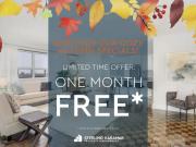 2 Bedroom Apartment Toronto ON 94181597