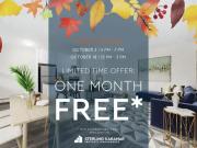 2 Bedroom Apartment Toronto ON 94470949