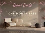 2 Bedroom Apartment Vancouver BC 98881726