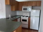 2 Bedroom Apartment Vancouver BC LS88069784