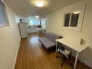 2 Bedroom Basement
