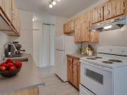 2 Bedroom Basement for rent in in 186 Pinehouse Dr...