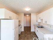 2 Bedroom Bi level 3840 Millwoods Rd