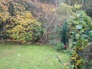 2 bedroom bungalow to rent