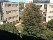 2 Bedroom Burlington Pet Friendly Apartment For Rent In the.