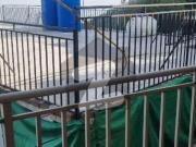 2 bedroom charming flat near maal road musyari