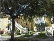 2 Bedroom Condo for Rent at 115 112th Ave Ne #710, St...