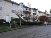 2 Bedroom Condo for Rent at 22611 116 Avenue #311, Maple...