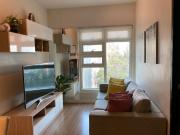 2 Bedroom Condo for rent in Cebu City, Solinea Tower 1