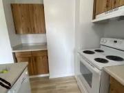 2 Bedroom Cozy 2 Bed 1.5 Bath Condo Downtown! All...