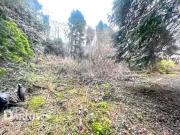 2 Bedroom Detached Bungalow For Sale In Birchgrove, New...