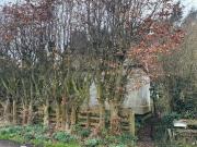 2 Bedroom Detached Bungalow For Sale In Gedney Drove...