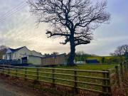 2 bedroom detached bungalow for sale in Heol Y Mynydd...