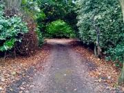 2 bedroom detached house to rent