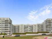 2 Bedroom Flat For Rent In Brighton