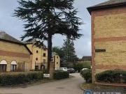 2 bedroom flat for rent in Brooklands Court, St Albans, AL1