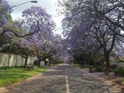 2 Bedroom Flat in Brooklyn