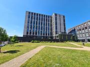 2 bedroom ground floor flat to rent