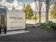2 Bedroom H Penticton Pet Friendly Apartment For Rent LIMIT.