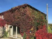 2 Bedroom House For Rent In S42