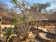 2 Bedroom House in Marloth Park