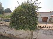 2 Bedroom House in Primrose