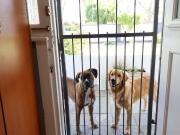 3 Bedroom House in Walmer