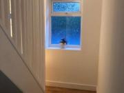 2 bedroom house share to rent