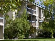 2 Bedroom in 215 86 Ave SE Calgary, AB T2H 2K5