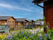 2 bedroom lodge for sale