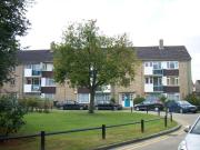 2 bedroom maisonette to rent