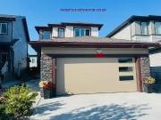 2 Bedroom Newly Constructed Basement Suite