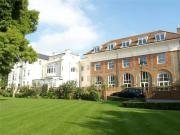 2 bedroom penthouse for sale