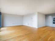 2 bedroom penthouse to rent