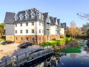 2 bedroom penthouse to rent