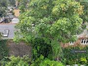 2 bedroom penthouse to rent