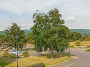 2 Bedroom Retirement Property For Sale In Matlock,...