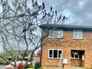 2 Bedroom Semi detached House For Rent In Basingstoke,...