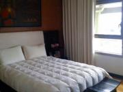 2 Bedroom Special Unit for Rent in The Residences at...