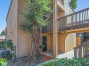 2 bedroom, Stockton CA 95207 96993543