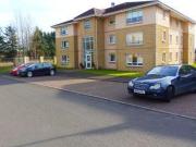 2 Bedrooms Flat for rent in Millhall Court, Plains,...