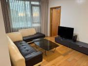 2 Bedrooms Park Terraces Tower 2 For Rent Condo Makati