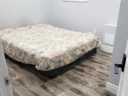 2 Bedrooms walkout basement for rent