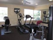 2 Beds Apartments of River Oaks, The